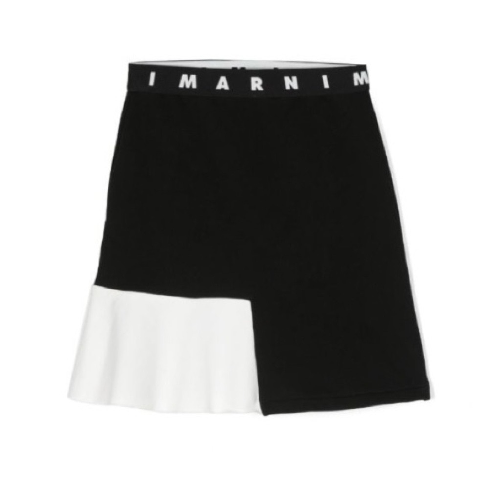 Marni skirt (fit a woman MEDIUM)